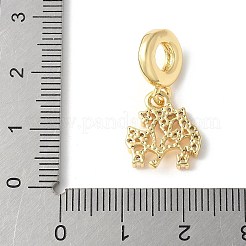 Brass Micro Pave Cubic Zirconia European Dangle Charms&nbsp;ZIRC-I071-22G-02
