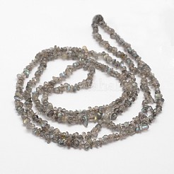 チップナチュラルブラックラルビカイトビーズ連売り  3~8x3~12x3~5mm  穴：1mm  約32インチ&nbsp;X-G-N0164-61