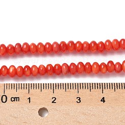 Natural Freshwater Shell Beads Strands&nbsp;SSHEL-C013-08A