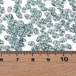 Transparent Czech Glass Seed Beads&nbsp;SEED-N004-005-C05