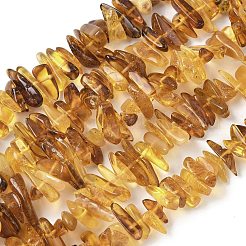Natural Amber Beads Strands&nbsp;G-L095-D01-07