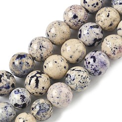 Natural Fossil Graduated Beads Strands&nbsp;G-F830-A03-01D