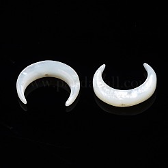 Natural White Shell Mother of Pearl Shell Beads&nbsp;SSHEL-T012-07