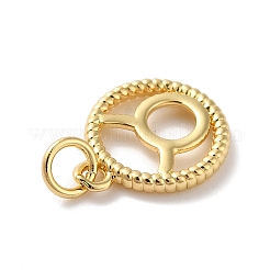 Brass Charms&nbsp;KK-A160-20G-03