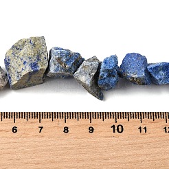 Natural Lapis Lazuli Beads Strands&nbsp;G-S386-C05