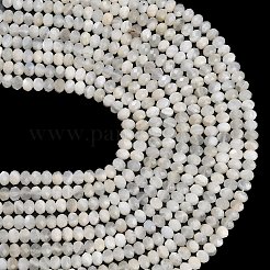 Natural White Moonstone Beads Strands&nbsp;G-C280-A09-01