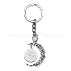 Alloy Pendant Keychains&nbsp;KEYC-WH0027-52