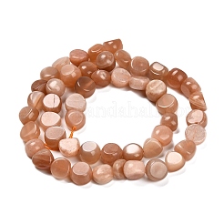 Natural Sunstone Beads Strands&nbsp;G-P568-C19-01