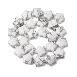 天然石ハウライトビーズ連売り  スター  シードビーズで  15~15.5x16~16.5x6.5~7mm  穴：1.4mm  約25個/連  15.75''~16.14''（40~41センチメートル）&nbsp;G-K359-E20