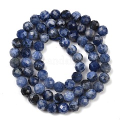 Natural Sodalite Beads Strands&nbsp;G-G281-B04-6mm