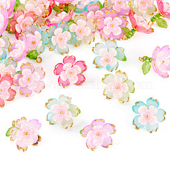 30個5色透明アクリルパーツ  ガラスシードビーズで  花  ゴールドライン入り  ミックスカラー  17.5x18x19mm  穴：1.8mm&nbsp;PALLOY-TA00304