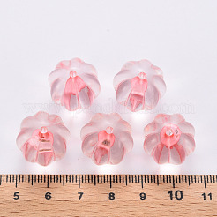 Transparent Acrylic Beads&nbsp;TACR-S154-19A-26
