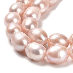 Natural Cultured Freshwater Pearl Beads Strands&nbsp;PEAR-E016-101