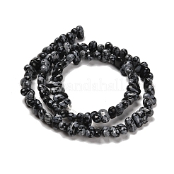 Natural Snowflake Obsidian Beads Strands&nbsp;G-Q167-B22-01