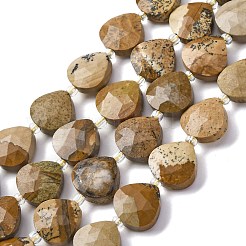Natural Picture Jasper Beads Strands&nbsp;G-P570-E09-02