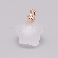 Resin Frosted Pendants&nbsp;MP-TAC0009-03G