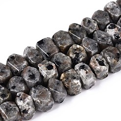 Natural Syenite Beads Strands&nbsp;G-N327-05-27