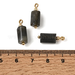 天然ラルビカイトペンダント  ファセット加工の柱状チャーム  ゴールデントーン真鍮パーツ  16.5~18x6.5~7x6~6.5mm  穴：1.5~2mm  5個/セット&nbsp;GG-CBACE45-02G-04