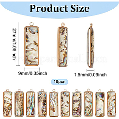 シェルペンダント10個  金メッキ真鍮ダブルエナメルセッティング  長方形  カラフル  27x9x4mm  穴：1.5mm&nbsp;SSHEL-BC0001-22