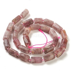 Natural Plum Blossom Tourmaline Beads Strands&nbsp;G-M403-B25