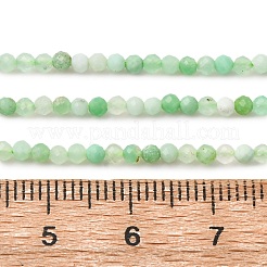 Natural Chrysoprase Beads Strands&nbsp;G-C196-A02-2mm