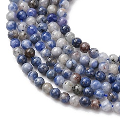 Natural Blue Spot Jasper Beads Strands&nbsp;G-Z116-A02-2mm