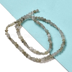 Natural Labradorite Beads Strands&nbsp;G-G085-B25-01