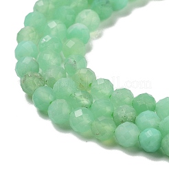Natural Chrysoprase Beads Strands&nbsp;G-B088-C19-03