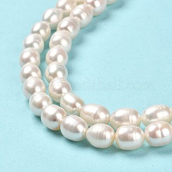 天然養殖淡水パールビーズ連売り  ライス  グレード2 A  リネン  7~8x7mm  穴：0.7mm  約41~42個/連  14.17~14.37インチ（36~36.5cm）&nbsp;PEAR-E016-196