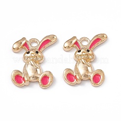 Alloy Enamel Pendants&nbsp;ENAM-C006-05KCG-03