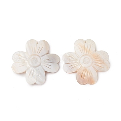 Natural Freshwater Shell Big Pendants&nbsp;BSHE-G033-08
