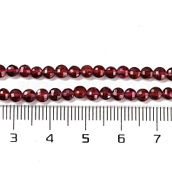 Natural Garnet Beads Strands&nbsp;X-G-F770-B02-01