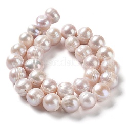 Natural Cultured Freshwater Pearl Beads Strands&nbsp;PEAR-E019-14