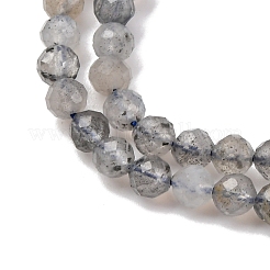 Natural Labradorite Beads Strands&nbsp;LS-G-RM250104-E3