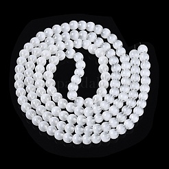 Acrylic Imitation Cat Eye Beads Strands&nbsp;OACR-Q197-01A-M