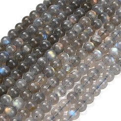 Natural Labradorite Beads Strands&nbsp;G-G448-7.5mm-04