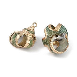 天然石シェルペンダント  貝殻の形のチャーム  24~35x18~27x17~25mm  穴：1.5mm&nbsp;SHEL-K009-01A