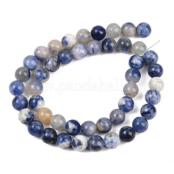 Natural Sodalite Beads Strands&nbsp;G-S279-10-8mm
