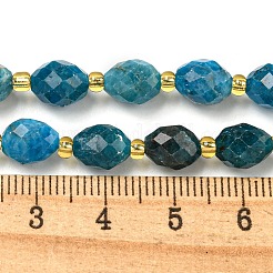 天然石アパタイトビーズ連売り  多面カット  オーバル  シードビーズで  8~9x6~8mm  穴：1~1.2mm  約17~19個/連  7.09~7.87インチ（18~20cm）&nbsp;G-N342-48