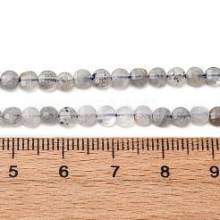 天然石ラブラドライトビーズ連売り  ファセットコインビーズ  フラットラウンド  4x2.5mm  穴：0.7mm  約103個/連  15.31''（38.9センチメートル）&nbsp;G-RM2025-A28