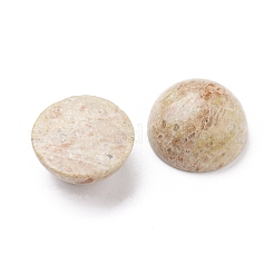 Natural Sesame Jasper Cabochons&nbsp;G-I285-04