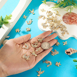 54pcs6スタイルアロイラインストーンペンダント  鉛フリー＆カドミウムフリー  形を混ぜる  ライトゴールド  13.5~24x14~22x2~3mm  穴：1.6~2mm  9個/スタイル&nbsp;FIND-TA0010-65KCG