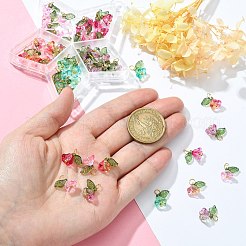 50Pcs 5 Colors Glass Charms&nbsp;FIND-CJ0001-15