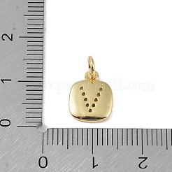 Rack Plating Brass Micro Pave CLear Cubic Zirconia Charms&nbsp;KK-E110-14G-V