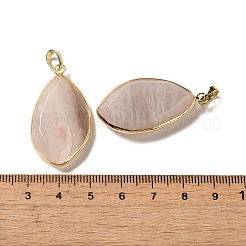 天然石ペンダント  ラックメッキのオーバルチャーム、金色の真鍮金具  36~36.5x19.5~20x6~6.5mm  穴：6.5x3.5mm&nbsp;G-K338-08G-05