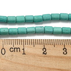 Dyed Synthetic Turquoise Beads Strands&nbsp;G-G075-A02-01