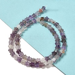Natural Amethyst Beads Strands&nbsp;G-G085-B01-02