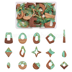 30Pcs 15 Styles Transparent Resin & Walnut Wood Pendants&nbsp;RESI-FW0001-02A