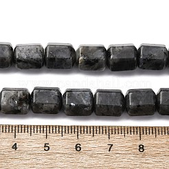 天然ラルビカイトビーズ連売り  六角プリズム  10~11x9~10mm  穴：0.8mm  約39~40個/連  15.16''~15.55''（38.5~39.5センチメートル）&nbsp;G-R015-A04