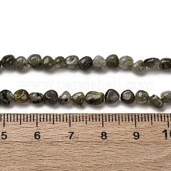 Natural Labradorite Beads Strands&nbsp;G-I389-A35-01A